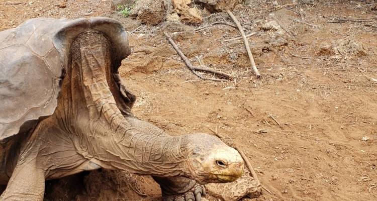 8-Day Galapagos Island Hopping: Visit the 3 Main Islands! - Latin Adventures 6