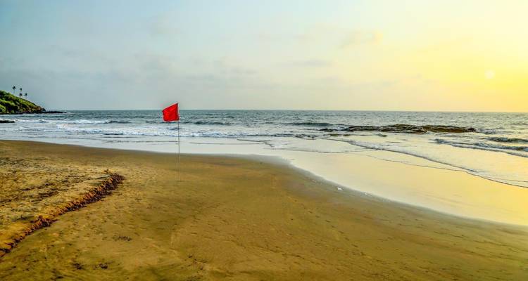 Escapade à Goa : Visite privée de 3 jours des plages et des monuments - Agora Voyages OPC Pvt Ltd 3