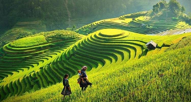 Nord du Viet Nam 5 jours 4 nuits (Hanoi, Sapa et Halong) - Asia Pacific Travel 9