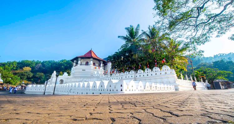 6 Days Sri Lankan Honeymoon Tour - Overa Tours 1