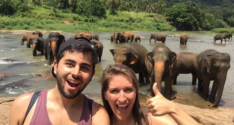 6 Days Sri Lankan Honeymoon Tour - Overa Tours 2