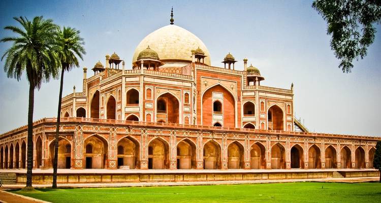 Humayun's Tomb in New Delhi staat onder een heldere blauwe lucht, omlijst door een hoge palmboom en verzorgde gazonnen.