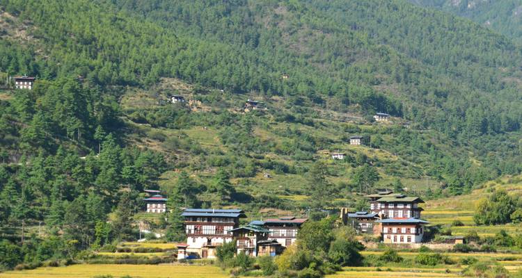 Estancia corta en Bhután Shangri - la Dreams - Bhutan Green Travel (BGT) 1
