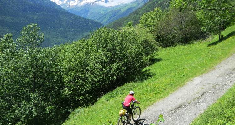 Un cycliste solitaire gravit un sentier de montagne forestier bordé d'une verdure éclatante.