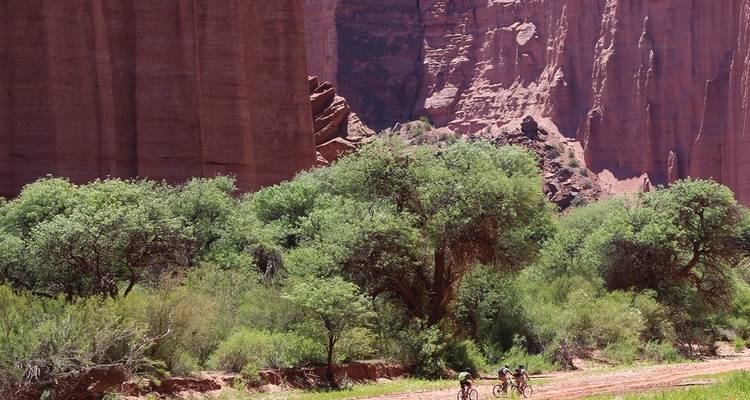 The Canyon of Talampaya - MTB Tours 9