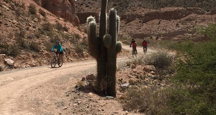 Des mines de sel à la jungle, balade à vélo de Salta à Jujuy - MTB Tours 4