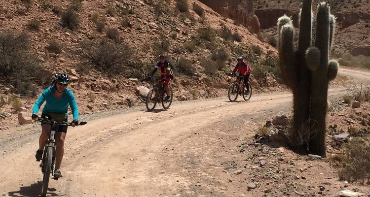 Des mines de sel à la jungle, balade à vélo de Salta à Jujuy - MTB Tours 3