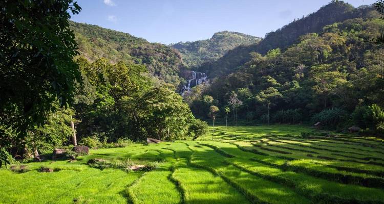 Groene terrasvormige velden die leiden naar een waterval.