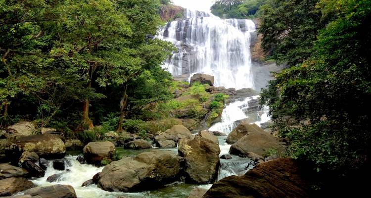 Close-up van een grote waterval omringd door bomen.