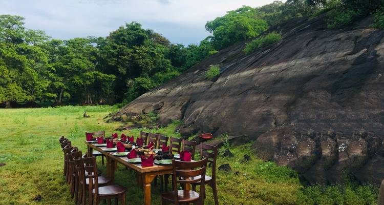 Eetopstelling met een lange tafel in een natuurlijke omgeving.