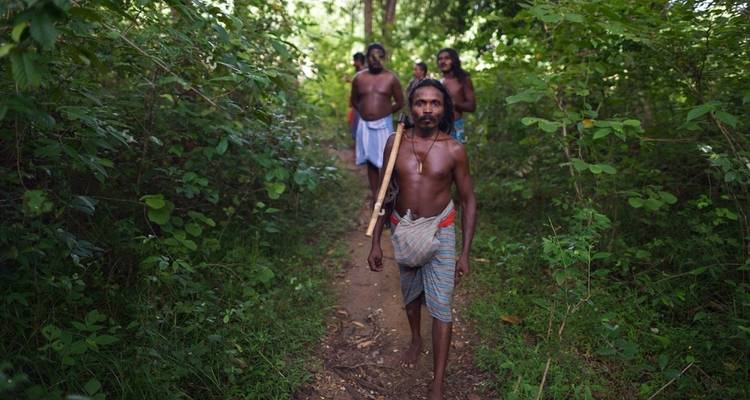 Groep mannen die door een bospad lopen.