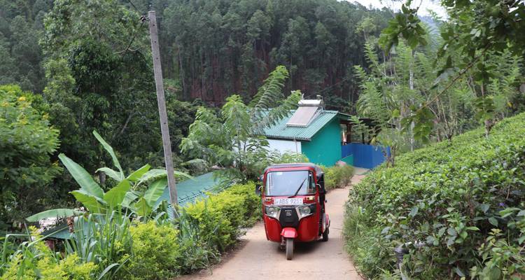 Tuk-tuk on a narrow path in rural Sri Lanka.