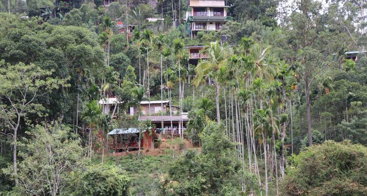 Houses among dense greenery on a hillside.