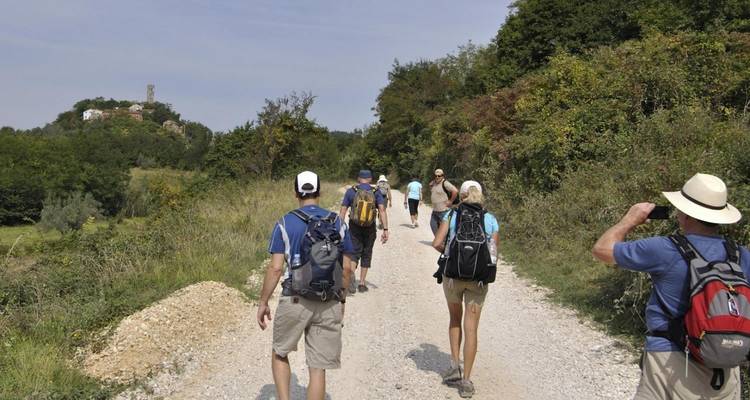 Aventure pédestre à travers l'Istrie verte - Circuit long - Fiore Tours 7