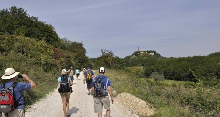 Aventure pédestre à travers l'Istrie verte - Circuit long - Fiore Tours 3