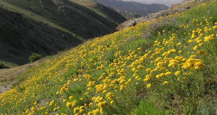 Varié Ouzbékistan - Zamin Travel 9