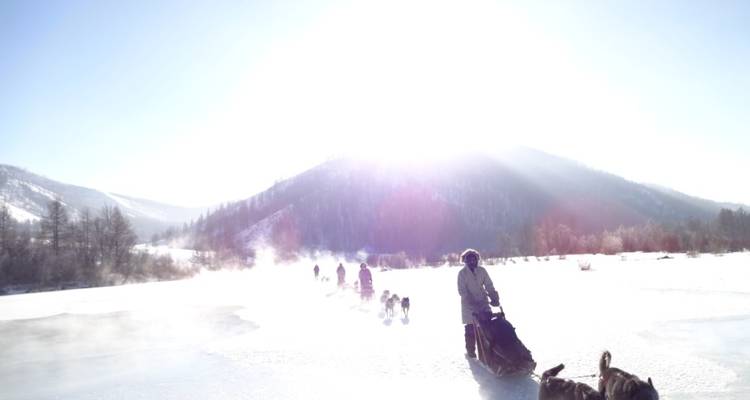 Des personnes avec des chiens dans un paysage enneigé sous un soleil éclatant.