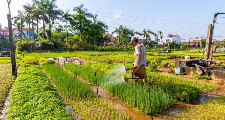 8 Days Northern Charm Meets Central Delight - Hoi An Express 9