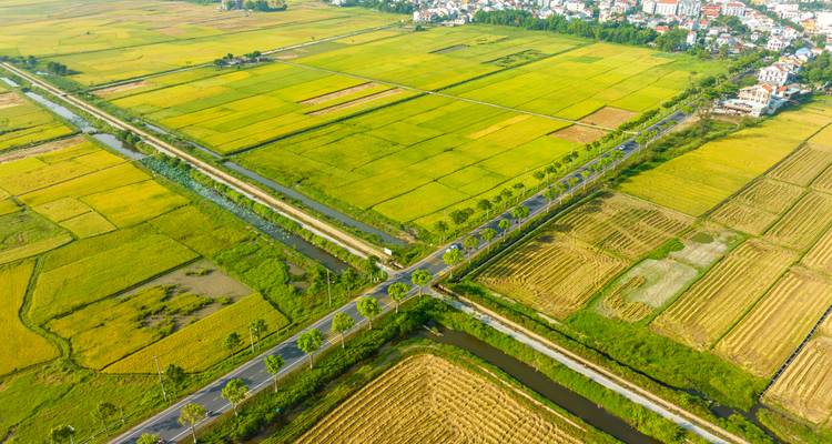 8 Days Northern Charm Meets Central Delight - Hoi An Express 10