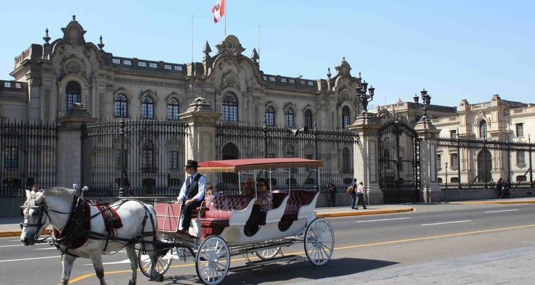 Paard-en-wagen die voor een historisch gebouw passeert.