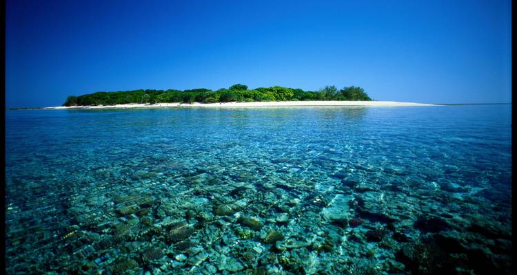 Sydney to Brisbane – 8 Day Boutique Tour - Via Travel Australia 9