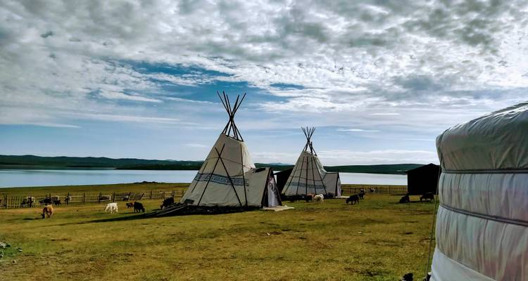 Tiendas tradicionales mongolas en un paisaje herboso cerca de un lago.