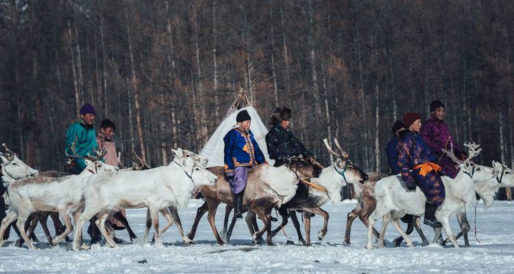 Un grupo de personas montando renos a través de la nieve con una tienda de campaña al fondo.