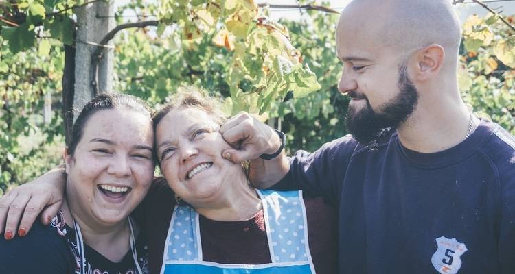 Portugal Wine Adventure (Local Grape Harvesting, Porto Exploring, Wine Tastings, etc...) - Life Nomading Adventures 9