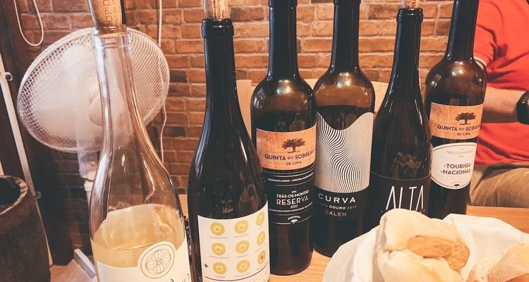 Portugal Wine Adventure (Local Grape Harvesting, Porto Exploring, Wine Tastings, etc...) - Life Nomading Adventures 4