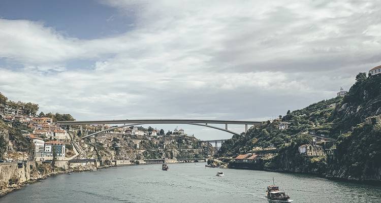 Portugal Wine Adventure (Local Grape Harvesting, Porto Exploring, Wine Tastings, etc...) - Life Nomading Adventures 2