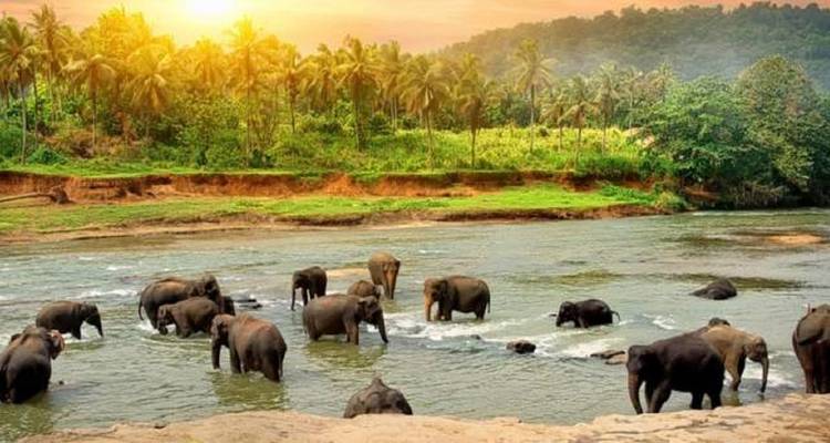 South India Tour for 8 Days - Volunteering With India 9
