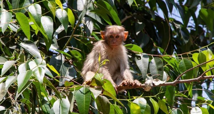 South India Tour for 8 Days - Volunteering With India 4