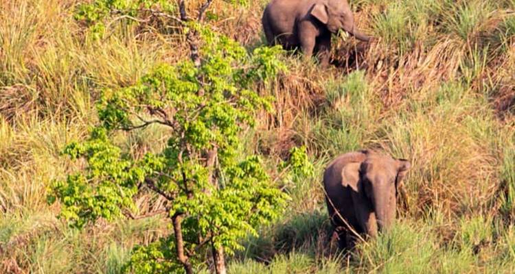 South India Tour for 8 Days - Volunteering With India 7