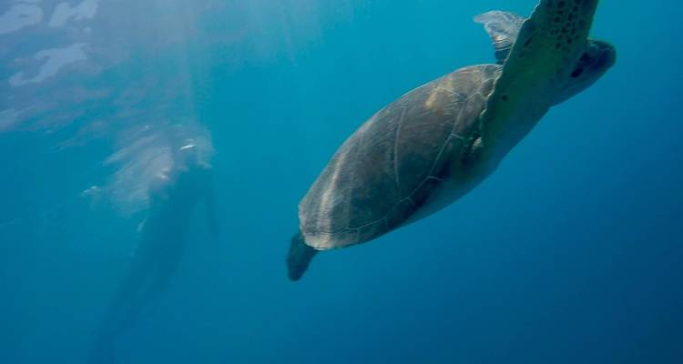 Crucero de 7 Días de Fethiye a Bodrum - Go Sail Turkey 9