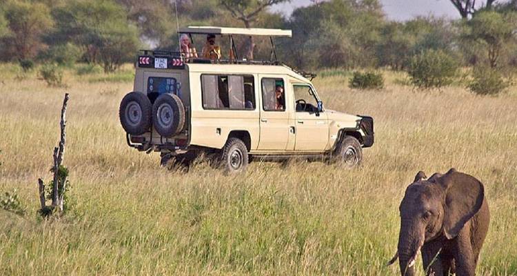The Best 4 days Tanzania private safari with Reasonable Price. - Africa Natural Tours 3