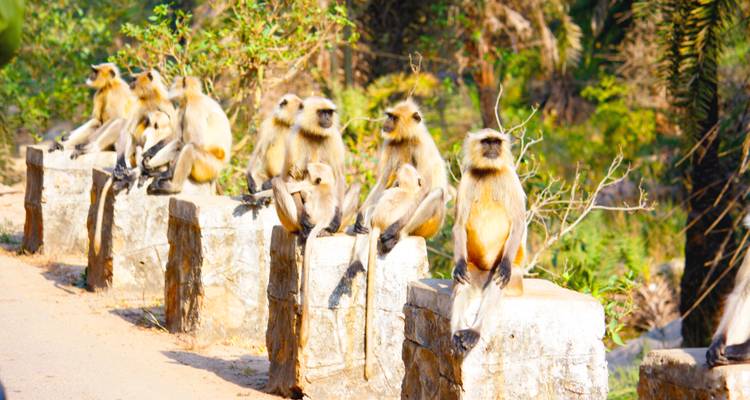 Circuit le plus populaire de 15 jours en Inde avec Taj Mahal - tout compris - Travel Con 7