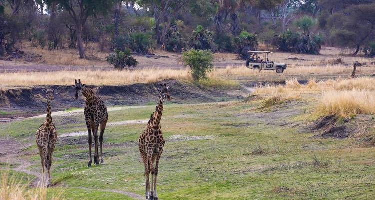 4-Day Lake Manyara, Ngorongoro Crater and Tarangire NP - Muraa African Safaris 4