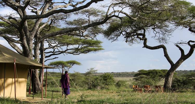 Safari de lujo de 7 días por la riqueza de Tanzania - Muraa African Safaris 2