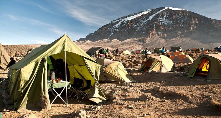 Tenten opgezet op een camping onder een berg.