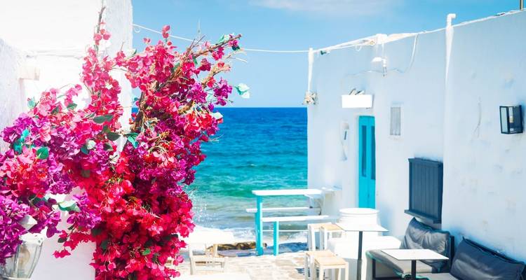 Colorful flowers and traditional Cycladic architecture by the sea.