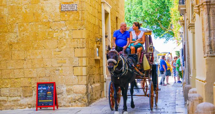 Tailor-Made Private Malta Islands Tour, Private Car and Daily Start - Agate Travel 4