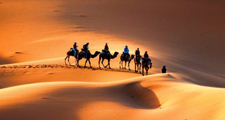 Circuit privé de 7 jours : Casablanca, Chefchaouen, Fès, le désert, Marrakech et au-delà - Cultural Morocco Tours 9