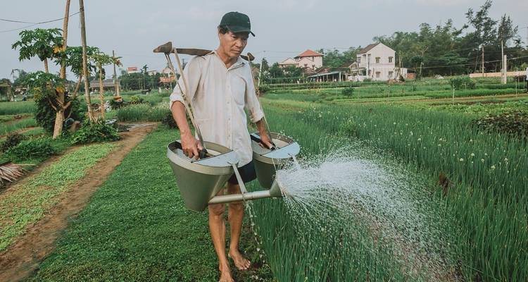 5 jours de voyage culinaire au pont d'or et à Hoi An - Hoi An Express 6