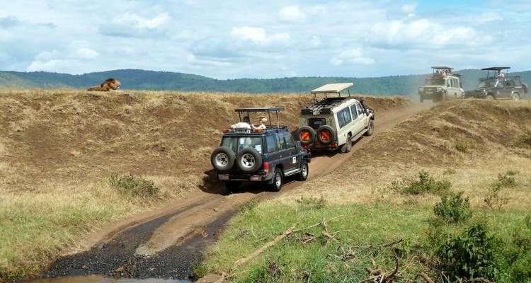 Safari vehicles passing a lion near water.