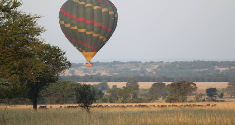 Hot air balloon over a savannah landscape.
