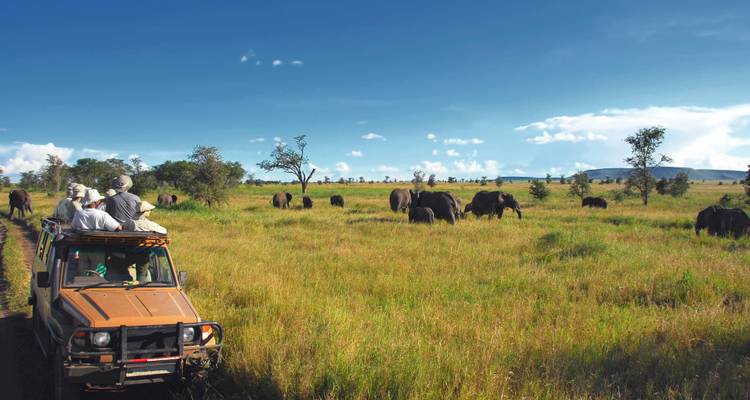 Safari vehicle with people watching elephants.