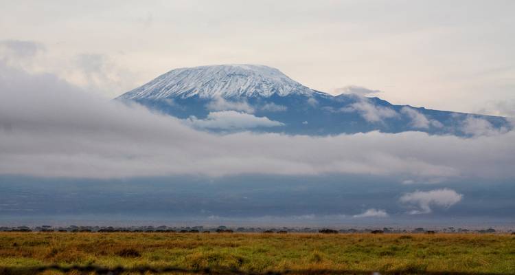 8 jours - Safari familial en Tanzanie - 4 destinations - Professional Safari Africa 4