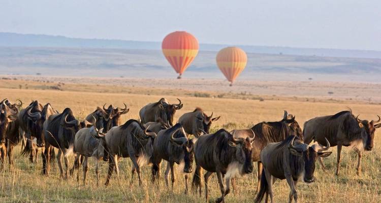 Tanzania Photography Safari - Professional Safari Africa 6
