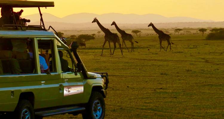 Tanzania Photography Safari - Professional Safari Africa 7