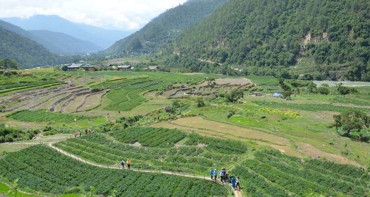Aventure au Bhoutan avec Trek à Bumdra - Bhutan Green Travel (BGT) 3